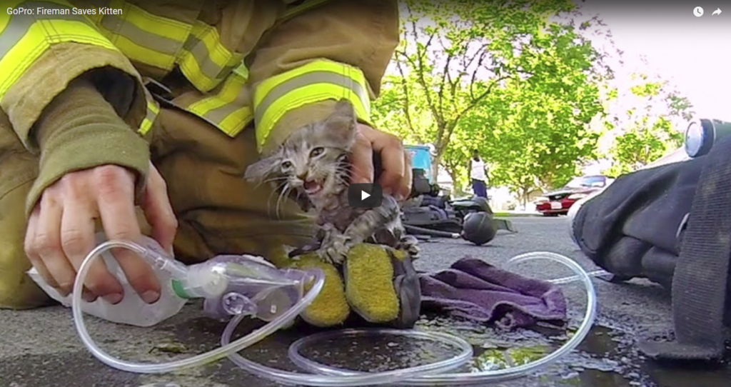 3 Examples of Phenomenal Brand Videos That Communicate Their Company's Mission 14