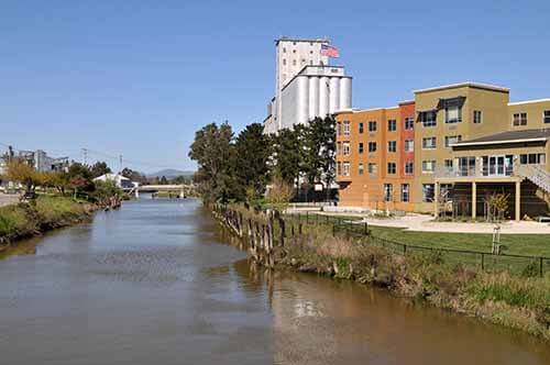 Petalum SEO Company along river